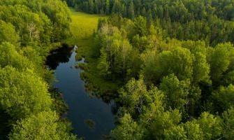 New DNR program to help state organizations collaborate on climate change goals